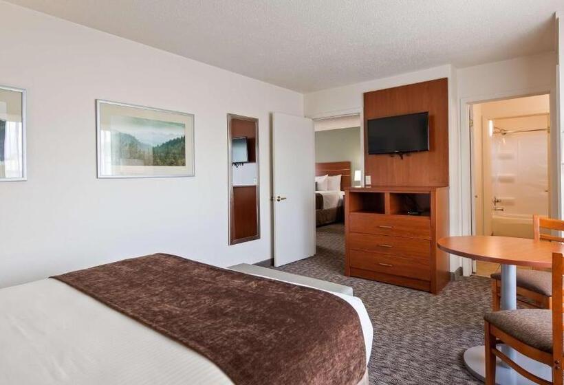 스탠다드 룸 킹사이즈 침대, Best Western Buffalo Ridge Inn Near Mt Rushmore