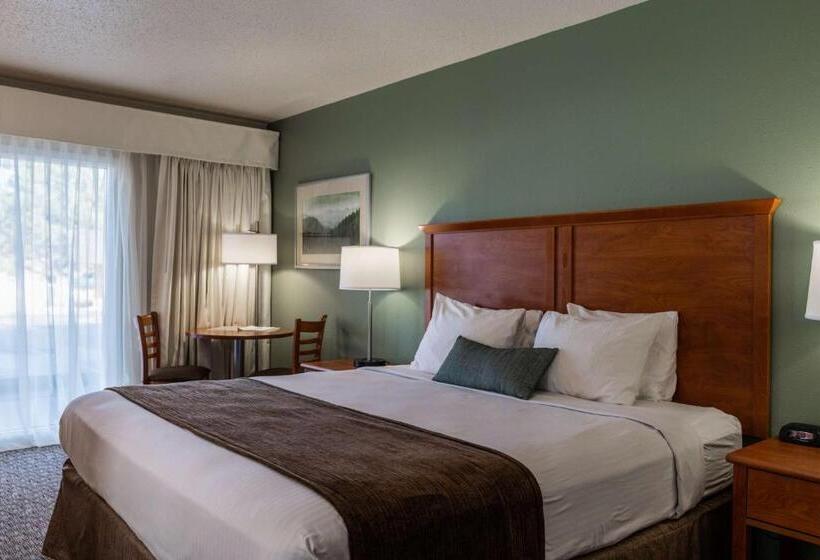 스탠다드 룸 킹사이즈 침대, Best Western Buffalo Ridge Inn Near Mt Rushmore