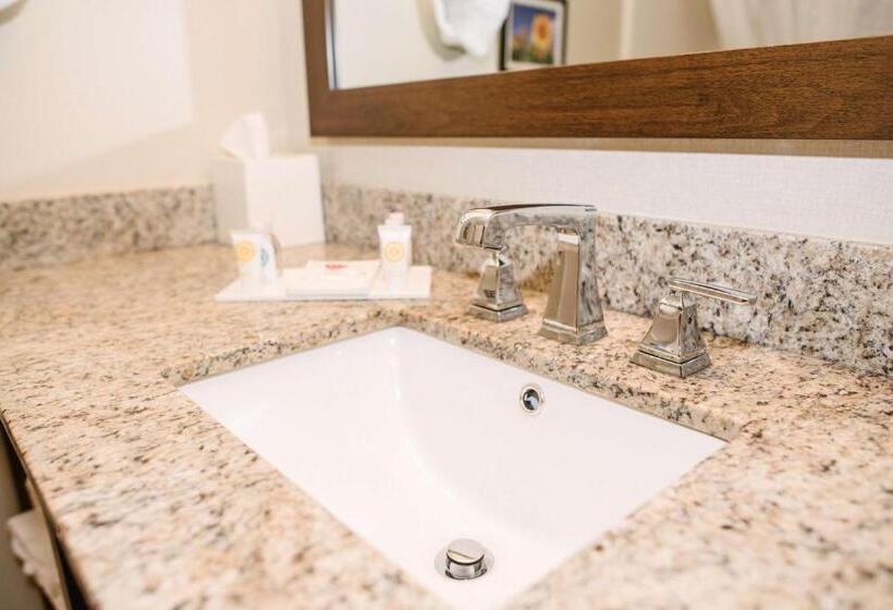 장애인을 위한 스탠다드 룸, Best Western Buffalo Ridge Inn Near Mt Rushmore