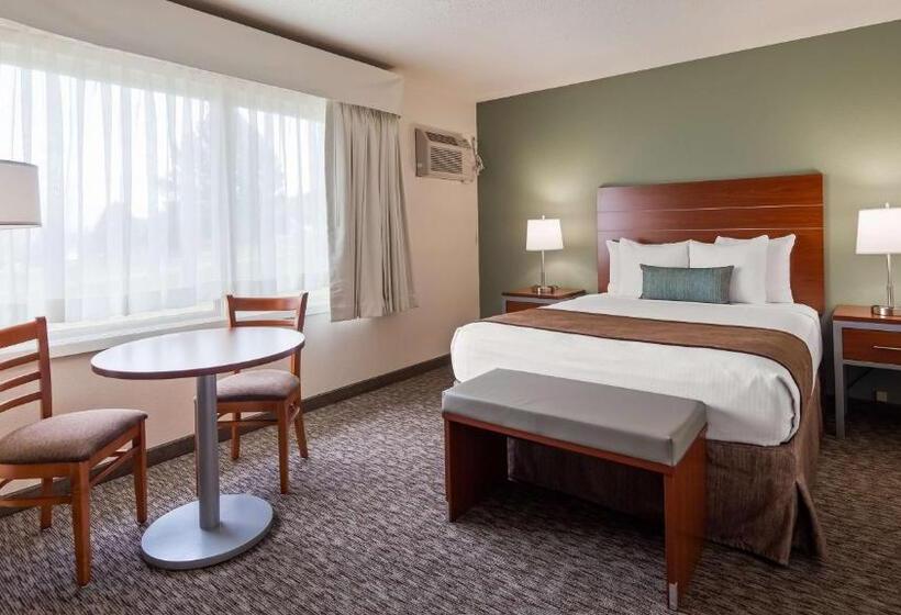 스탠다드 룸, Best Western Buffalo Ridge Inn Near Mt Rushmore