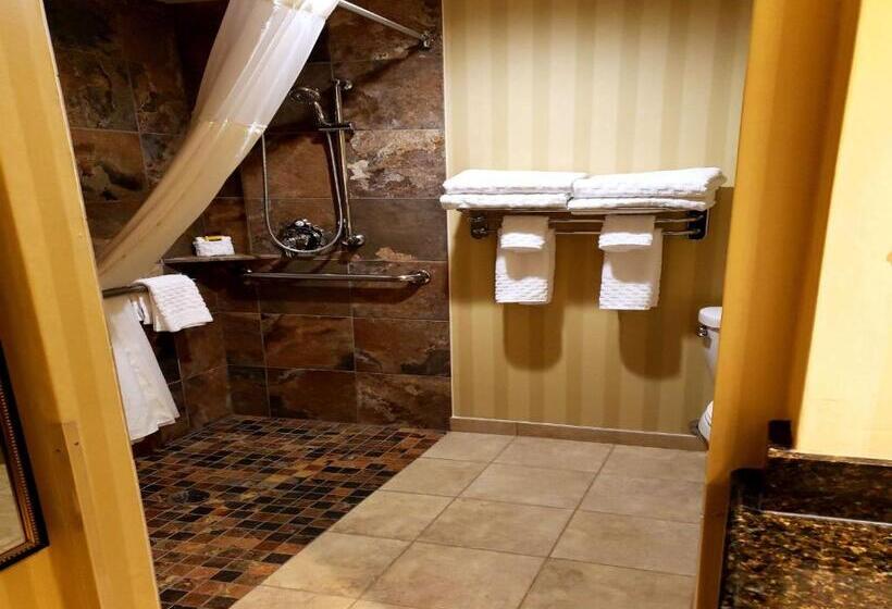 Номер Стандарт Адаптированный для Инвалидов, Best Western Plus Canyonlands Inn