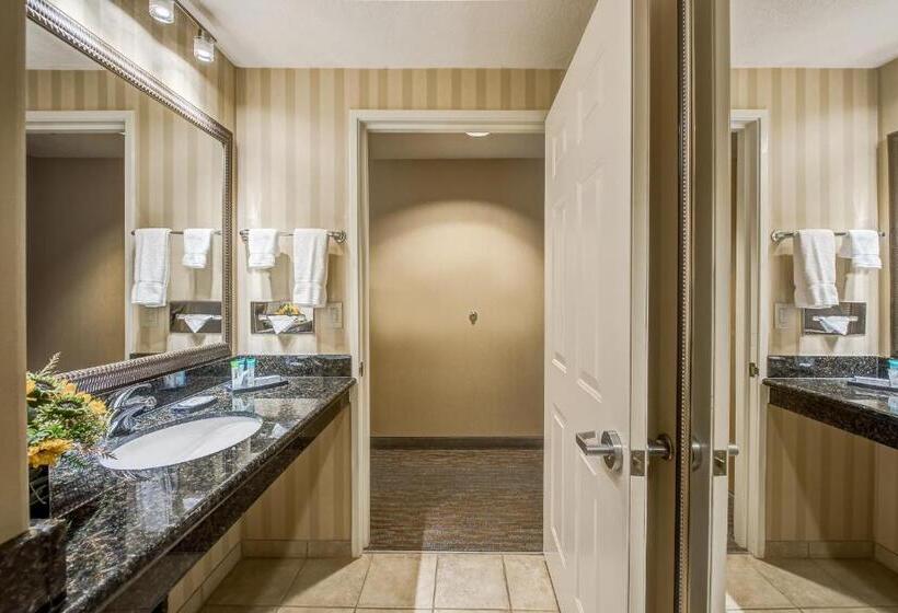 Номер Стандарт Кровать Кинг Адаптированный для Инвалидов, Best Western Plus Canyonlands Inn