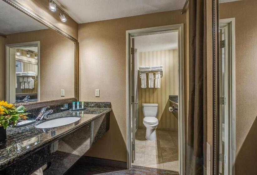 Люкс Superior, Best Western Plus Canyonlands Inn