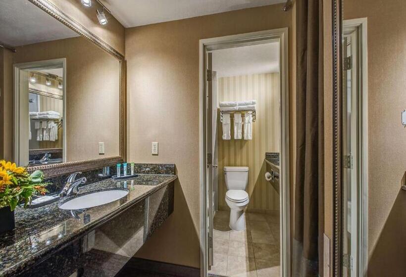 Люкс Superior, Best Western Plus Canyonlands Inn