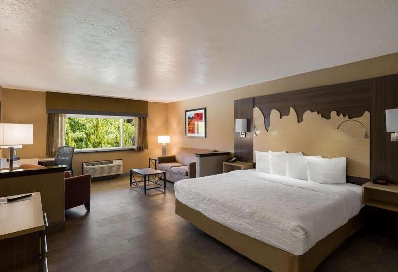 Люкс Superior, Best Western Plus Canyonlands Inn