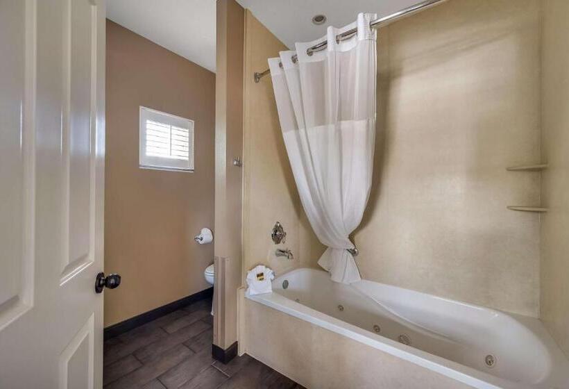 Люкс, Best Western Plus Canyonlands Inn