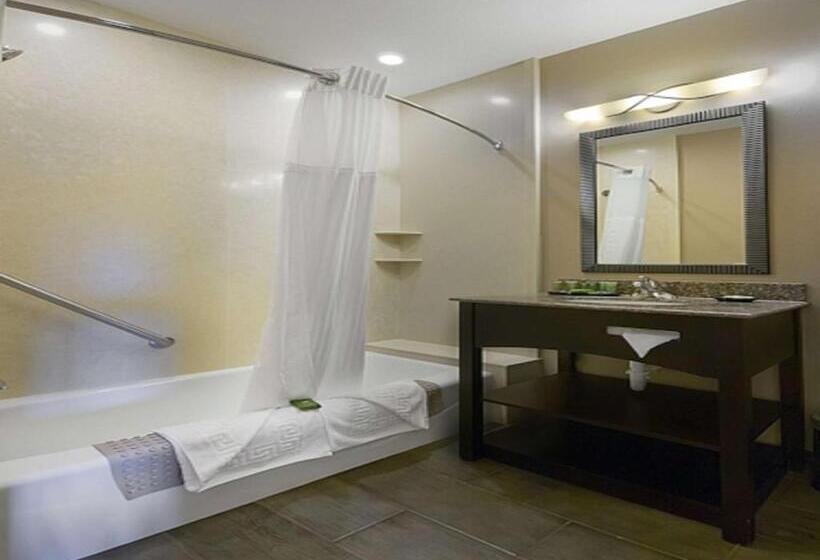 סוויטה, Best Western Plus Canyonlands Inn