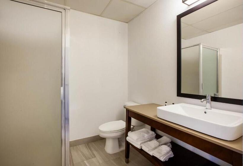 Стандартный Номер Кровать Кинг, Days Inn & Suites By Wyndham Rochester Hills Mi