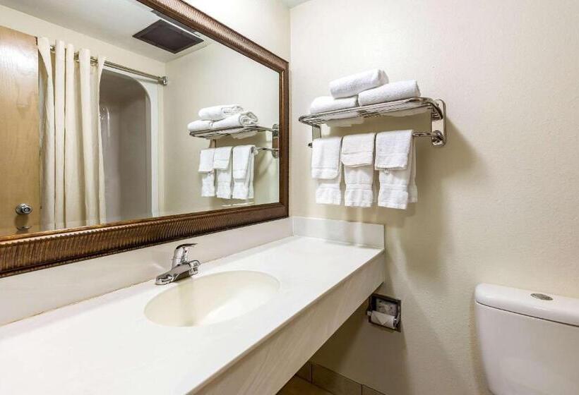 Номер Стандарт, Econo Lodge Inn & Suites