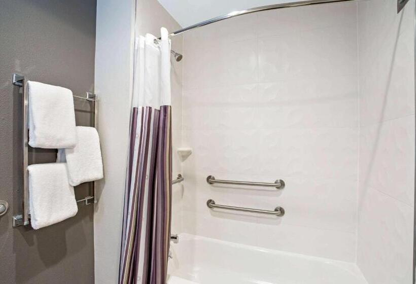 Номер Стандарт Адаптированный для Инвалидов, La Quinta By Wyndham Hartford Bradley Airport
