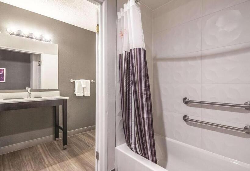 Номер Стандарт Адаптированный для Инвалидов, La Quinta By Wyndham Hartford Bradley Airport