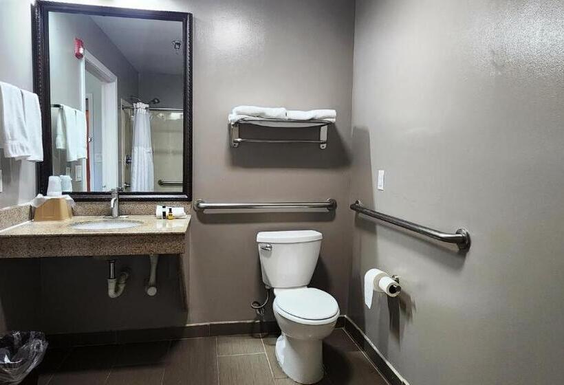 Номер Стандарт Адаптированный для Инвалидов, Motel 6ennis, Tx