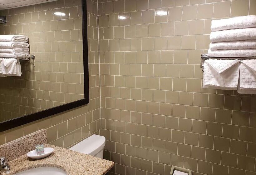 Номер Стандарт 2 Двуспальные Кровати, Best Western Merry Manor Inn