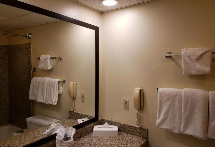 חדר סטנדרט עם מיטת קינג, Best Western Merry Manor Inn