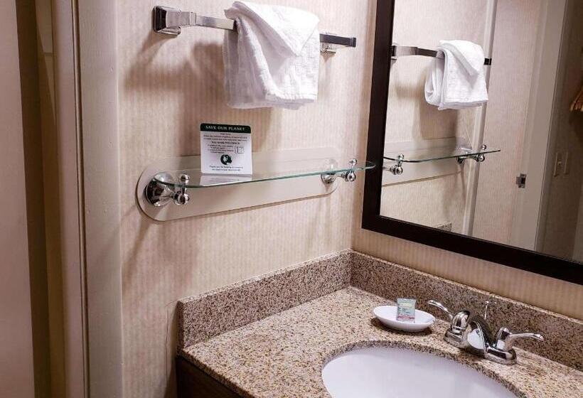 חדר סטנדרט, Best Western Merry Manor Inn