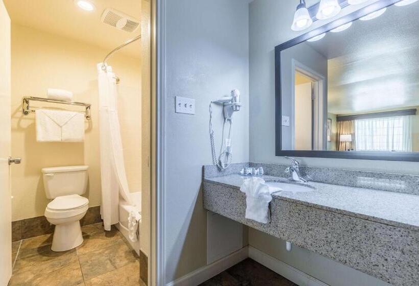 스탠다드 룸, Best Western Padre Island