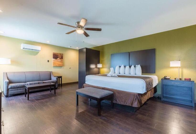 스위트 킹사이즈 침대, Best Western Padre Island