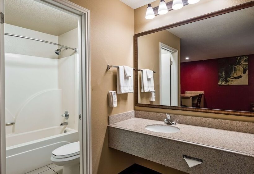 Suite, Surestay Plus By Best Western San Antonio Fiesta Inn