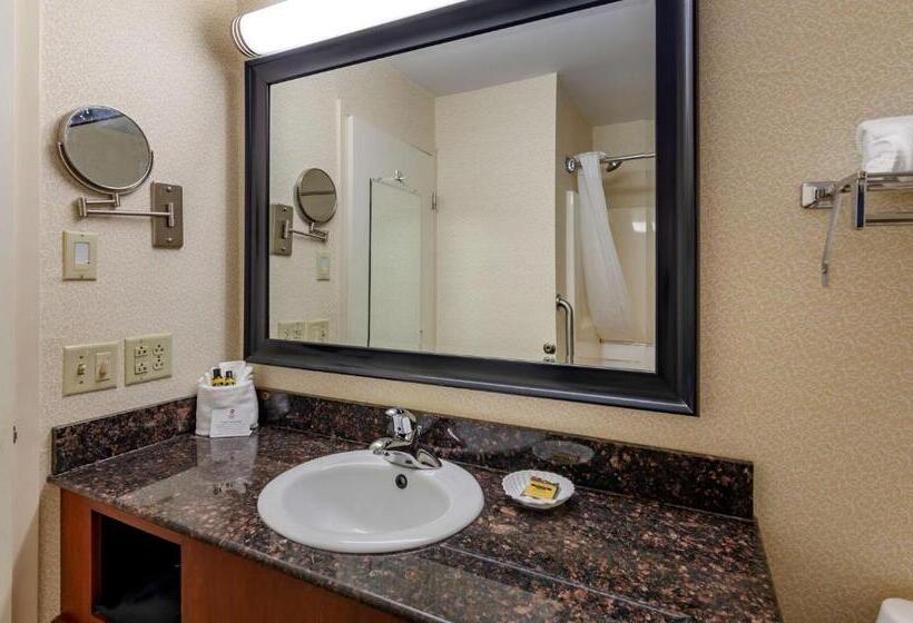 חדר סטנדרט עם מיטת קינג, Best Western Plus Inn At Hunt Ridge