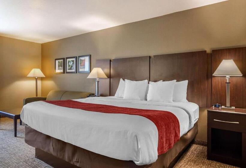 Стандартный Номер Кровать Кинг, Comfort Inn & Suites Perry National Fairgrounds Area