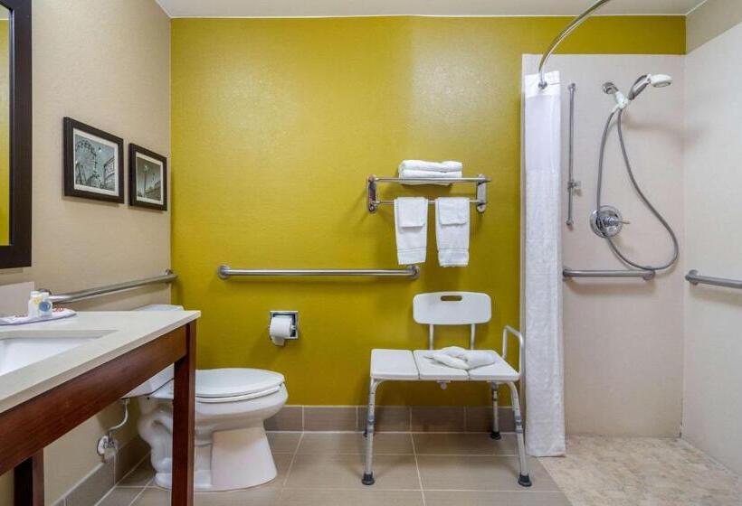 Номер Стандарт Кровать Кинг Адаптированный для Инвалидов, Comfort Inn & Suites Perry National Fairgrounds Area
