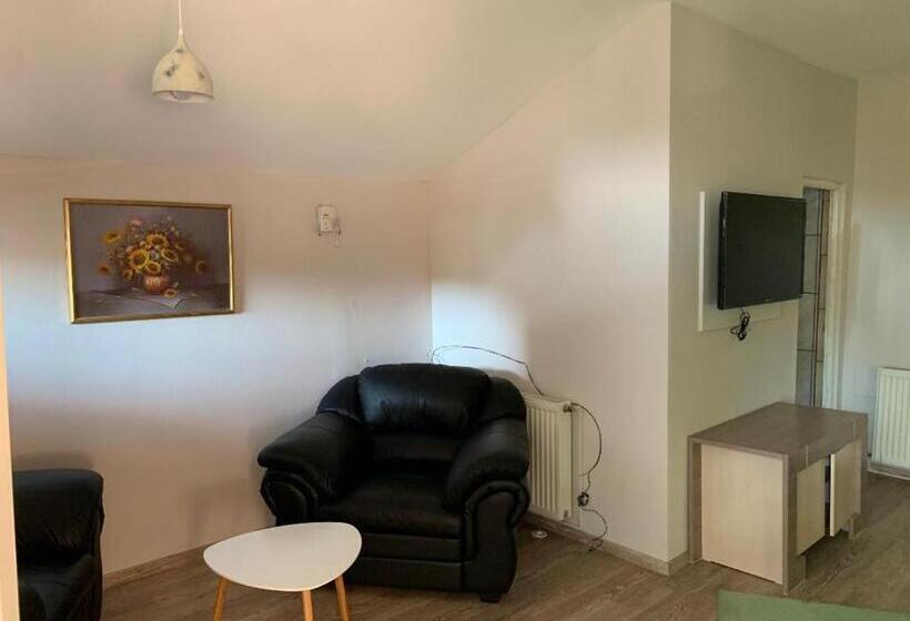 استودیو استاندارد با بالکن, Viking Apartment Grigo