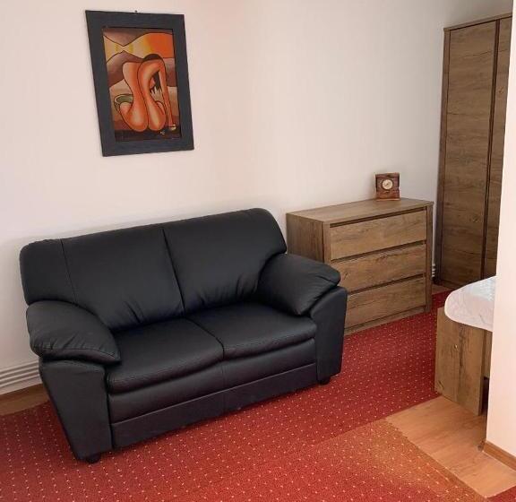 استودیوی استاندارد, Viking Apartment Grigo
