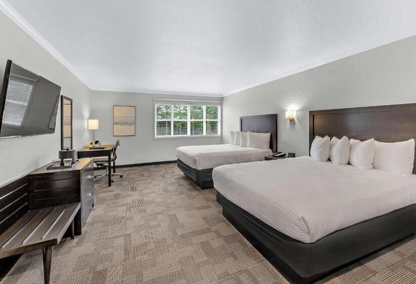 Номер Стандарт, Best Western Wesley Inn & Suites