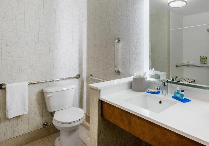 스탠다드 룸, Holiday Inn Express & Suites   Ruskin, An Ihg