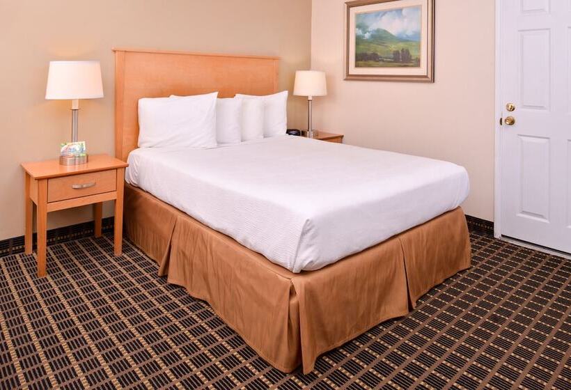 Номер Стандарт, Campus Inn & Suites Eugene Downtown
