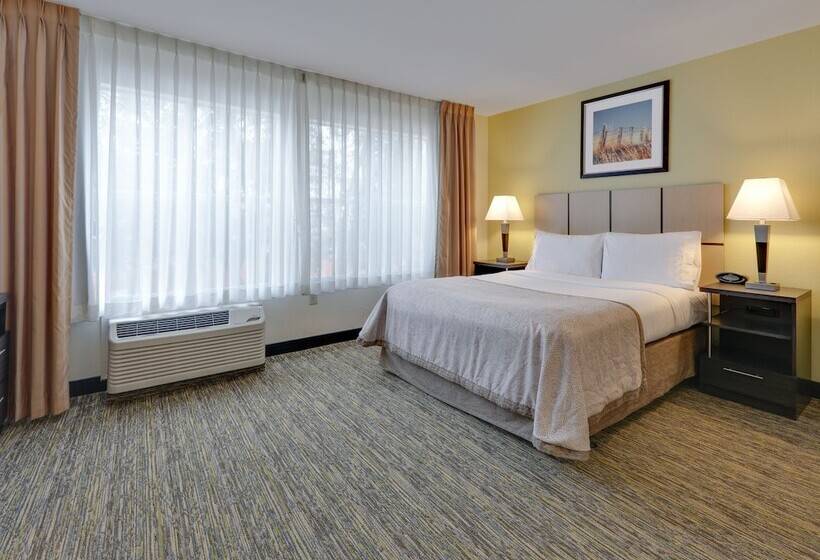 إستوديو قياسى, Candlewood Suites Dallas Market Center Love Field, An Ihg