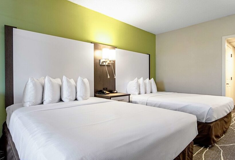标准间, Clarion Inn Willow River