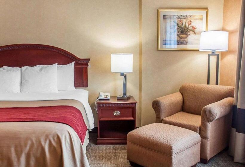 Стандартный Номер Кровать Кинг, Quality Inn Near Walden Galleria Mall