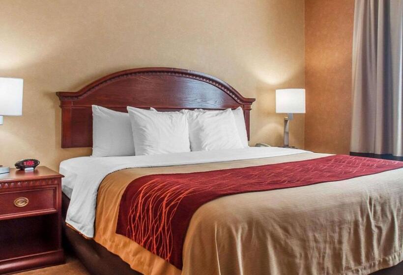 Номер Стандарт Кровать Кинг Адаптированный для Инвалидов, Quality Inn Near Walden Galleria Mall
