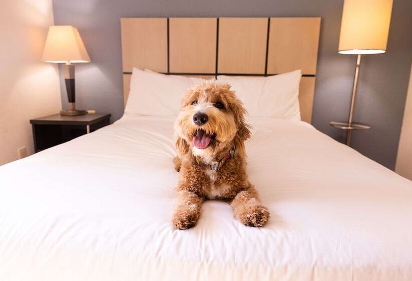 סוויטה, Sonesta Simply Suites Phoenix Glendale
