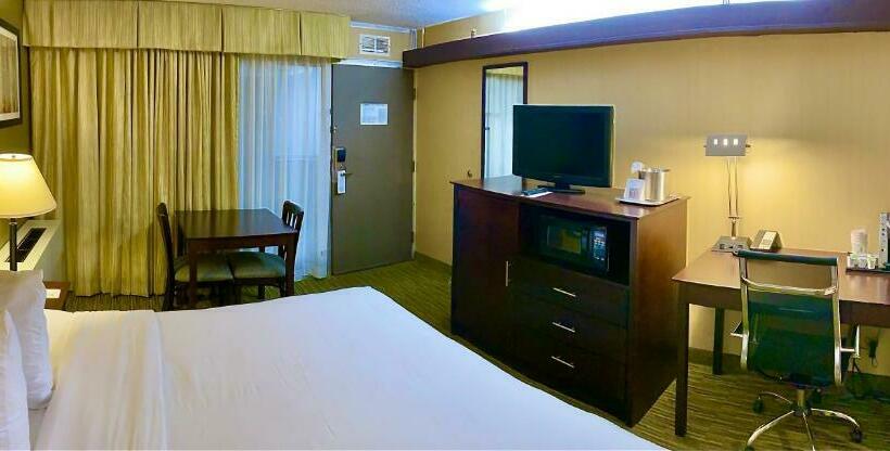 스탠다드 룸 킹사이즈 침대, Wyndham Garden Ann Arbor