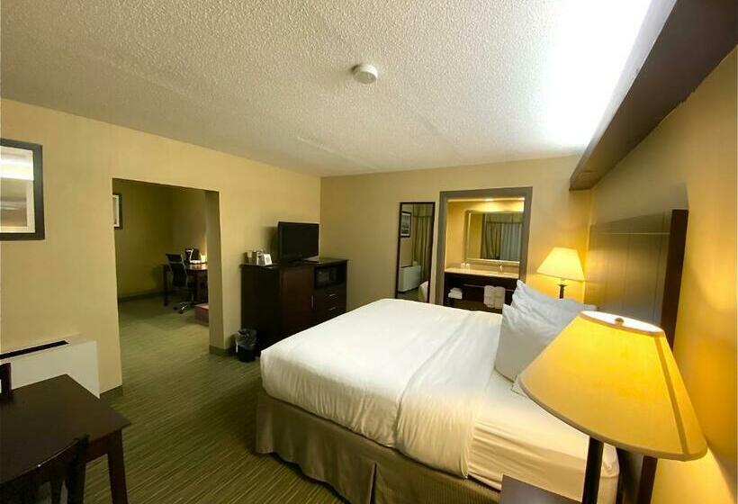 带大床的套房, Wyndham Garden Ann Arbor