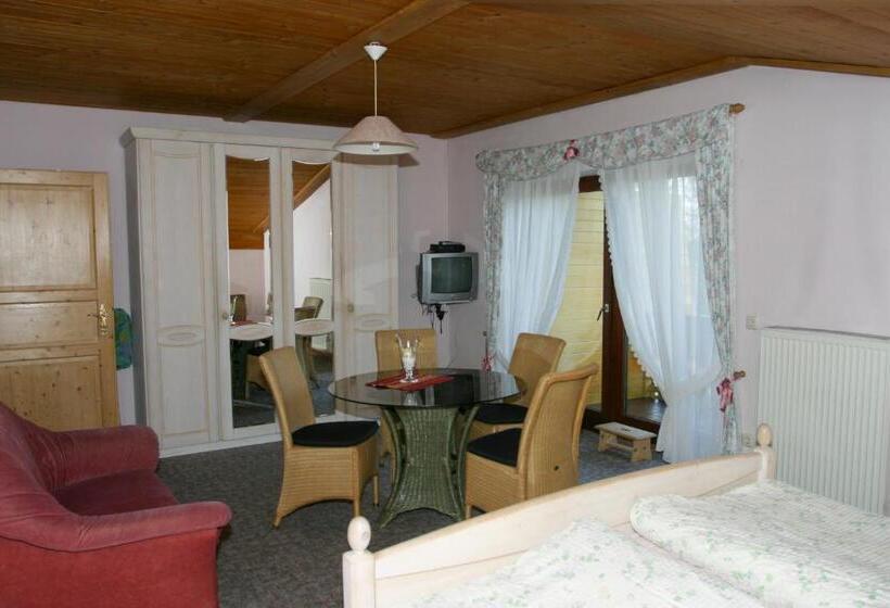 Номер Стандарт, Pension Steiger