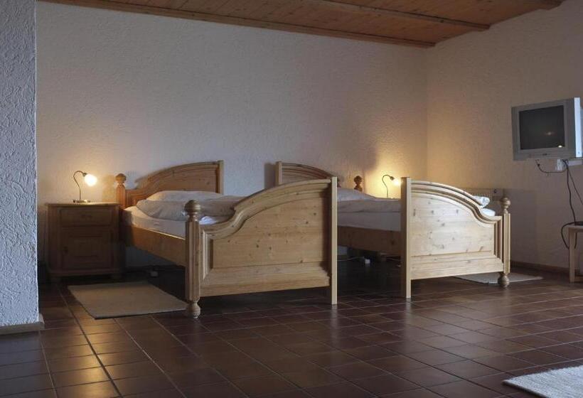Номер Стандарт, Pension Steiger