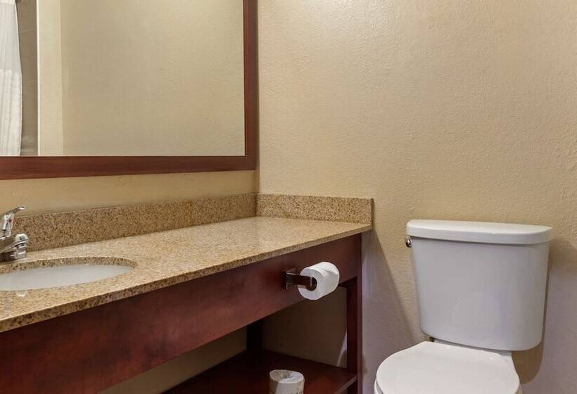 프레지덴셜 스위트, Comfort Inn Hobart Merrillville I 65