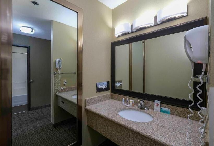 Номер Стандарт, Comfort Inn Near Gila National Forest