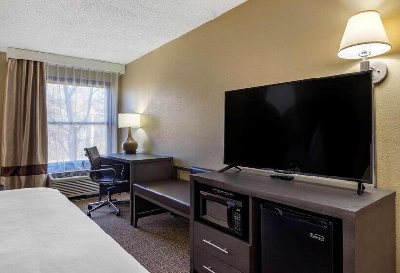 Стандартный Номер Кровать Кинг, Comfort Inn Opelika  Auburn