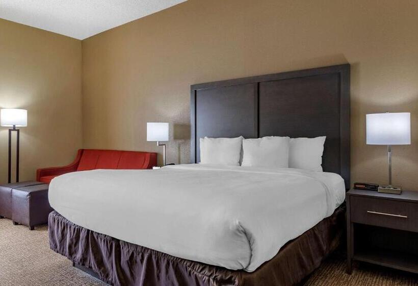 Стандартный Номер Кровать Кинг, Comfort Inn Opelika  Auburn