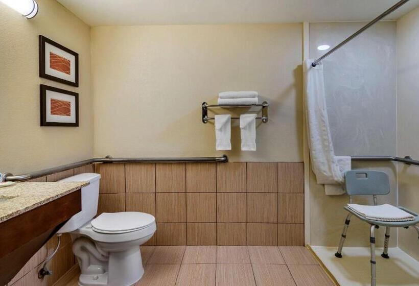 Номер Стандарт Кровать Кинг Адаптированный для Инвалидов, Comfort Inn Opelika  Auburn