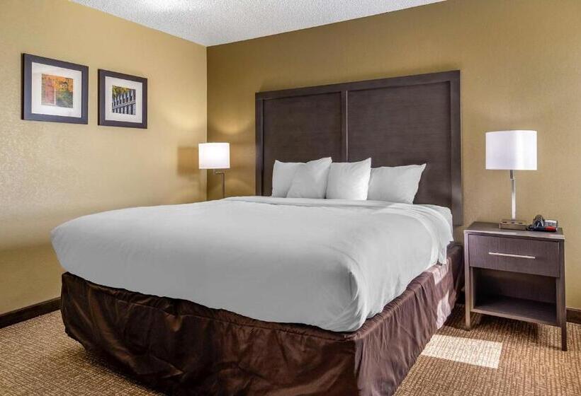 Люкс Кровать Кинг, Comfort Inn Opelika  Auburn