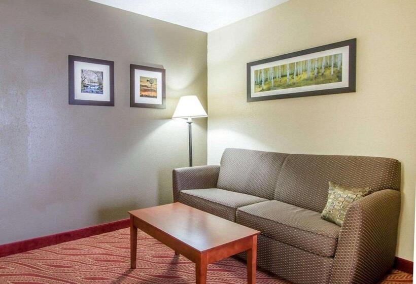 Люкс Кровать Кинг, Comfort Inn Poplar Bluff North