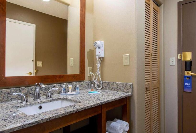 Номер Стандарт, Comfort Inn