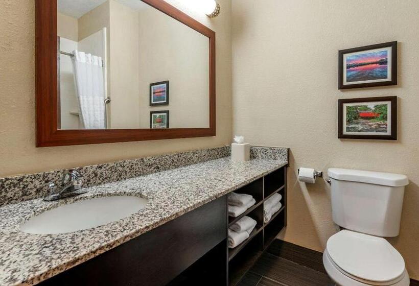 Стандартный Номер Кровать Кинг, Comfort Inn Shelbyville North