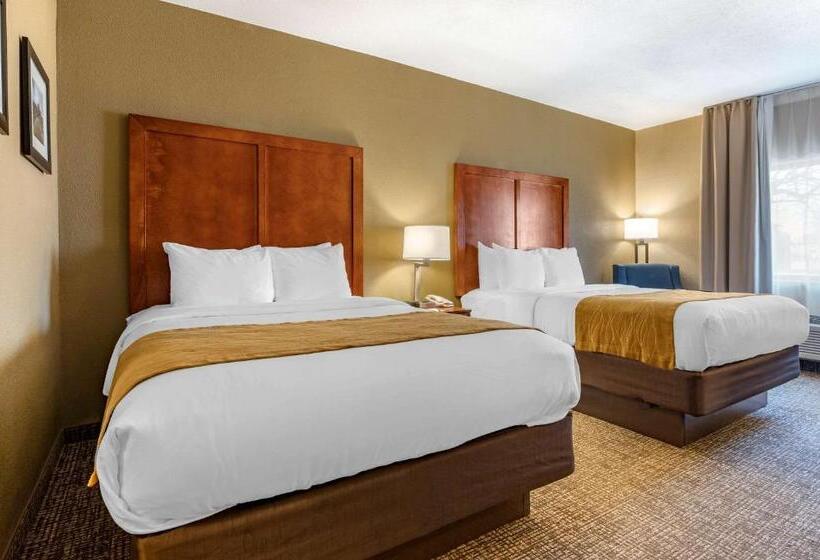 Номер Стандарт, Comfort Inn Shelbyville North