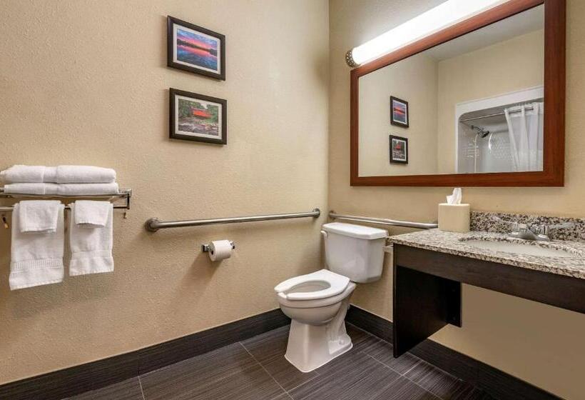 Номер Стандарт Кровать Кинг Адаптированный для Инвалидов, Comfort Inn Shelbyville North